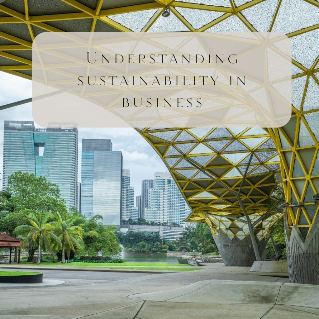 Understanding sustainability in business