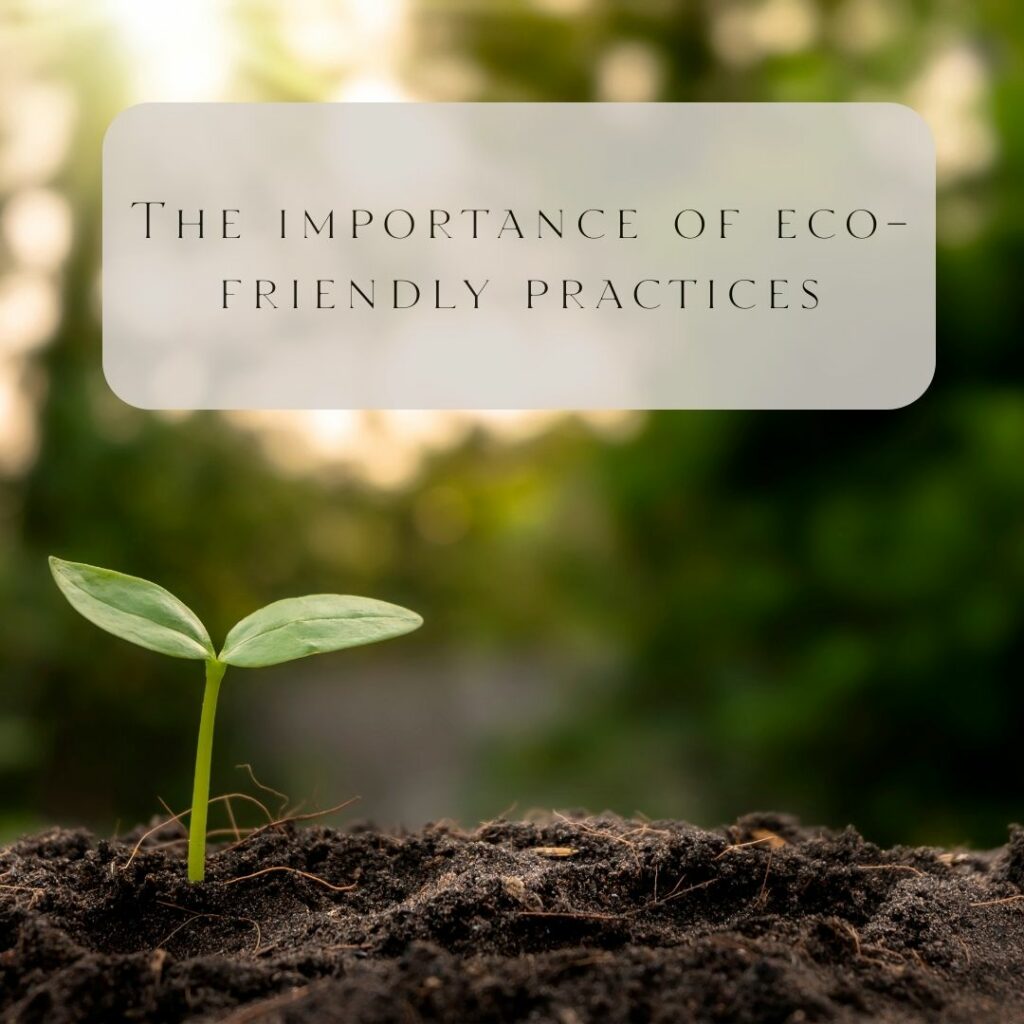 The importance of eco-friendly practices