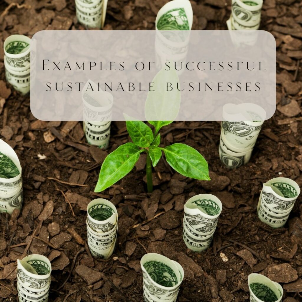 Examples of successful sustainable businesses
