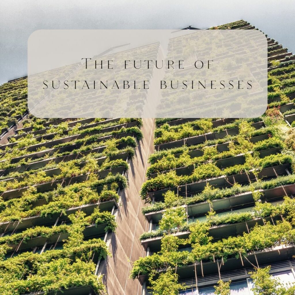 The future of sustainable businesses